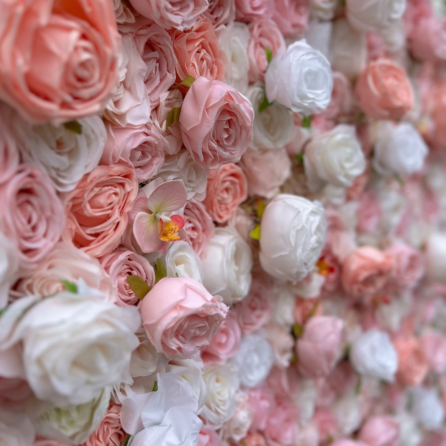 Pink Rose Details