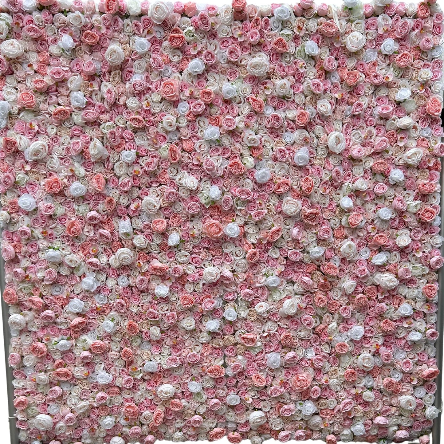 Pink Rose Wall