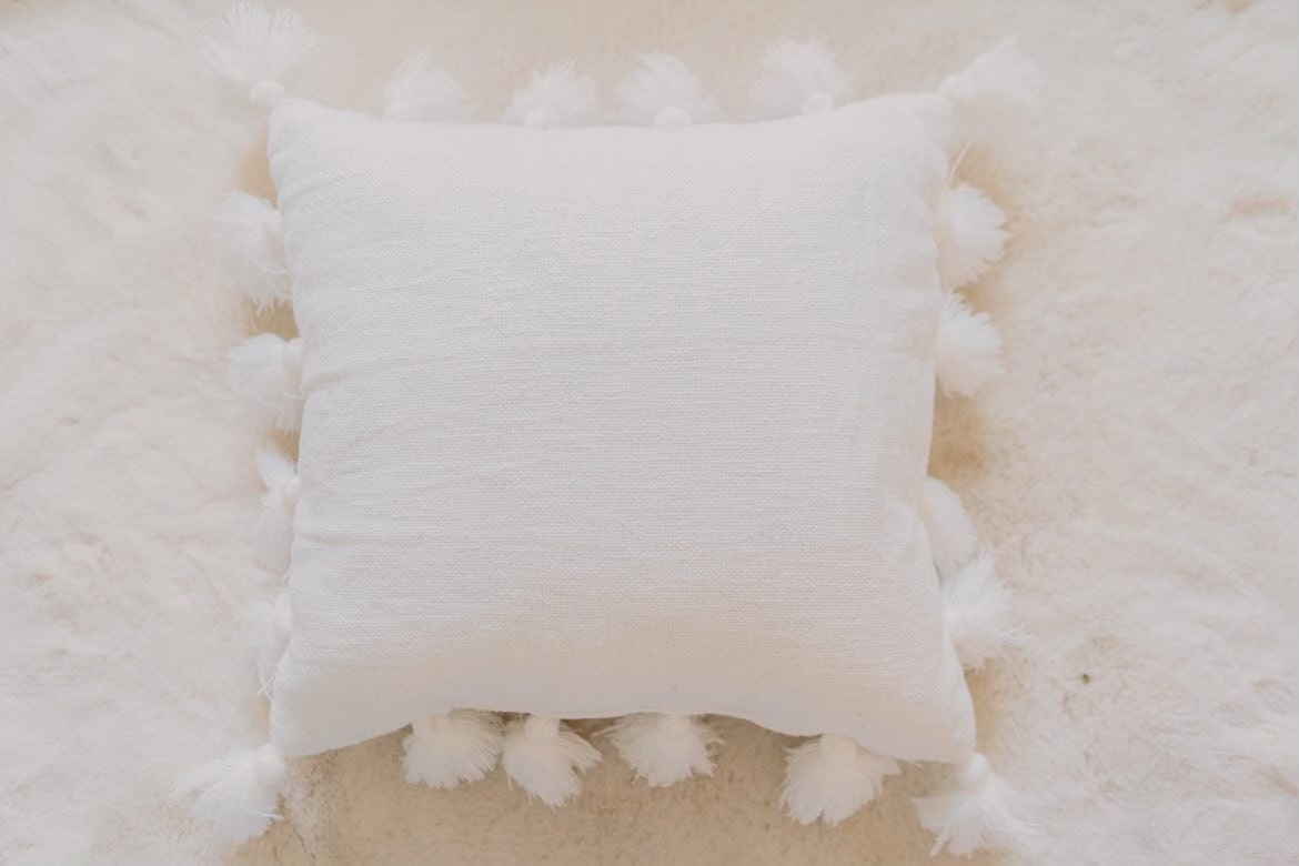 White 2024 tassel pillow