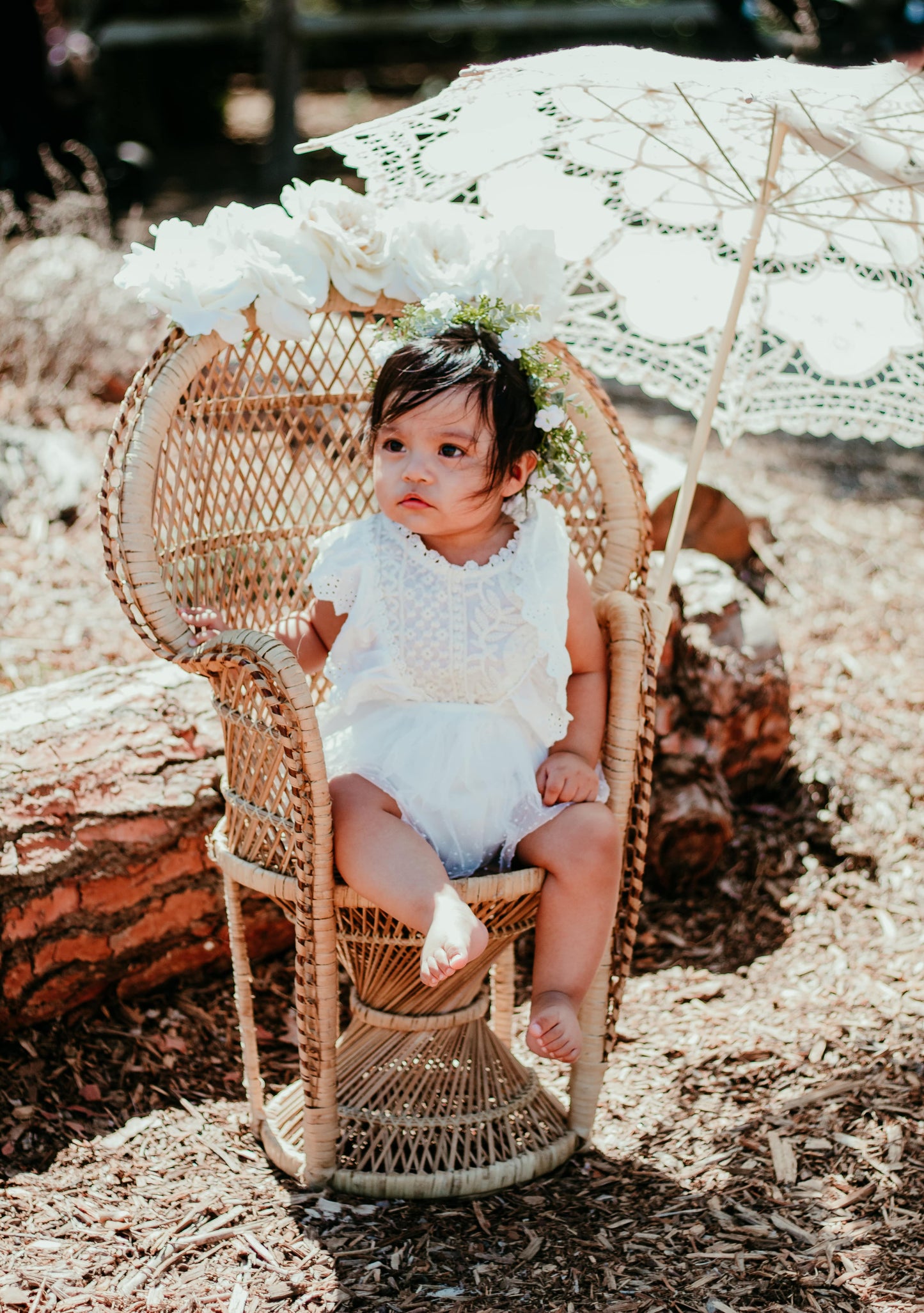 Luna Peacock Chair