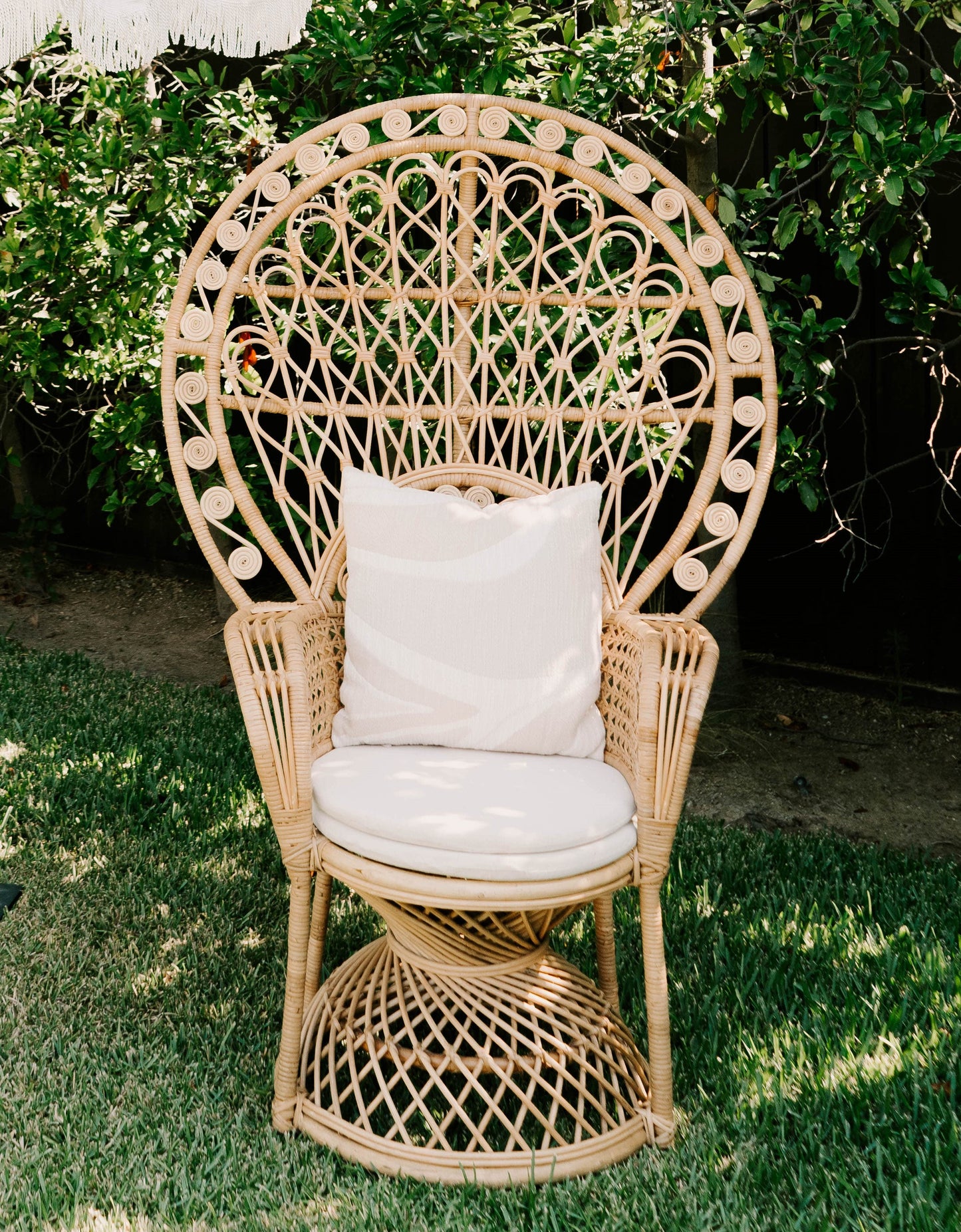 Penelope Peacock Chair